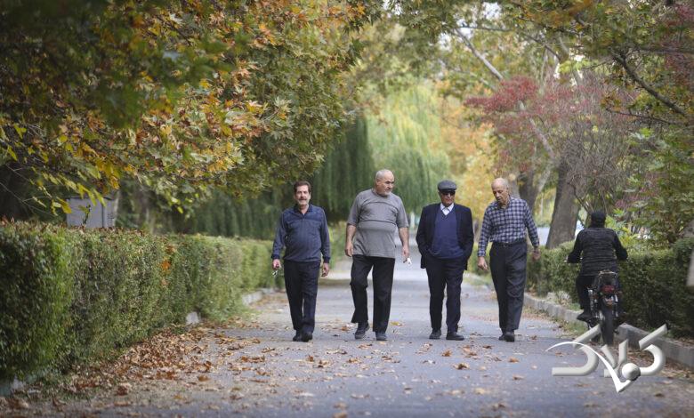 شهر سالمندان