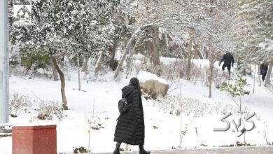 برف تهران