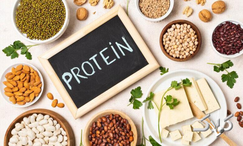 چگونه در خانه پودر پروتئین بسازیم