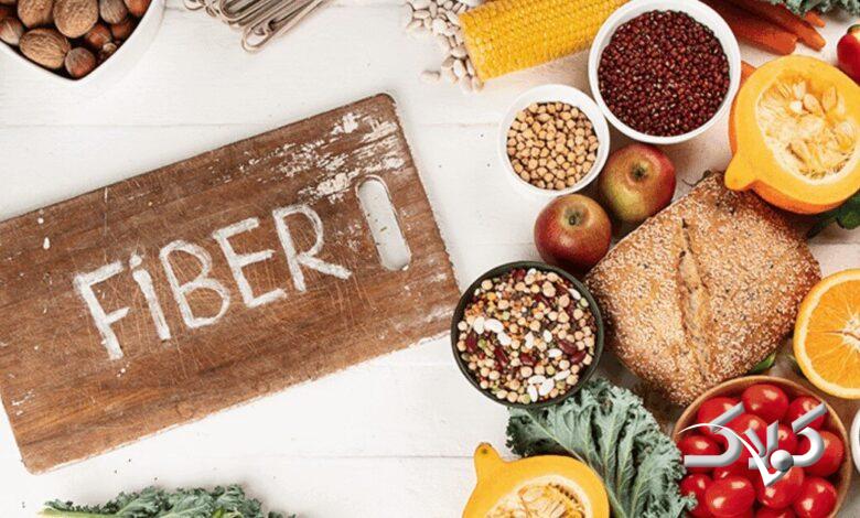 فیبر