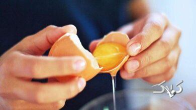 زرده تخم مرغ