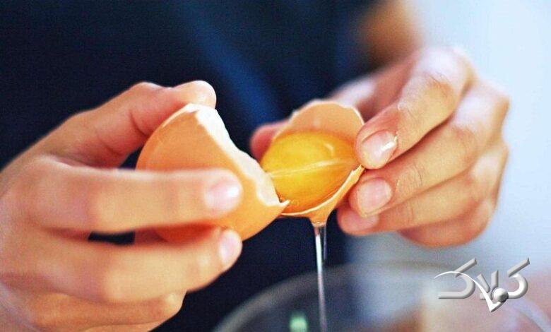 زرده تخم مرغ