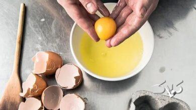 زرده تخم مرغ