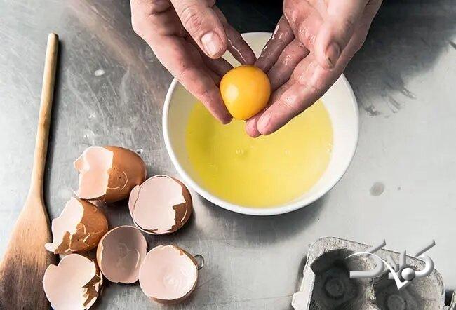 زرده تخم مرغ