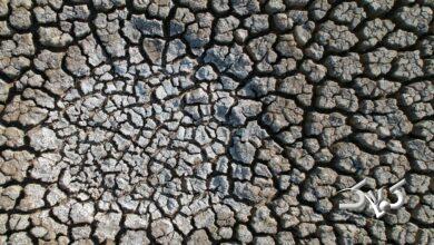 کانیبرازان