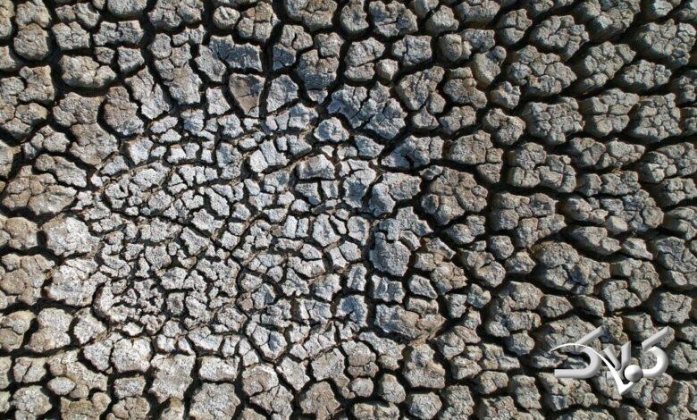 کانیبرازان