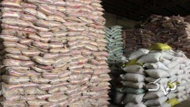 احتکار برنج - انبار برنج