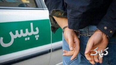 بازداشت - پليس