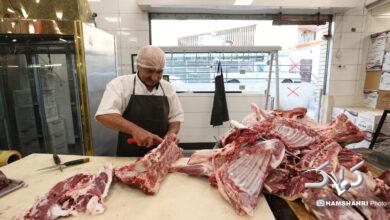 توزیع گوشت دولتی منجمد در میادین میوه و تره بار