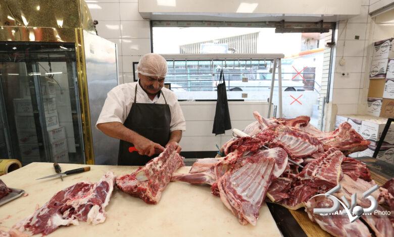 توزیع گوشت دولتی منجمد در میادین میوه و تره بار