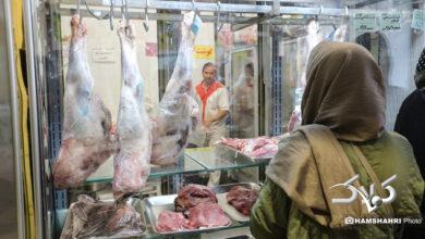 توزیع گوشت دولتی منجمد در میادین میوه و تره بار