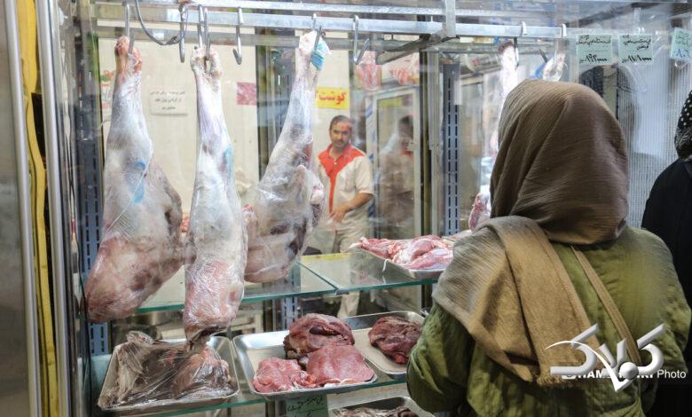 توزیع گوشت دولتی منجمد در میادین میوه و تره بار