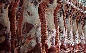 گوشت گوسفندی