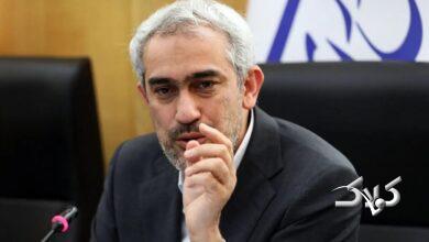 مدنی زاده- وزیر اقتصاد