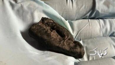 آدامس باستانی