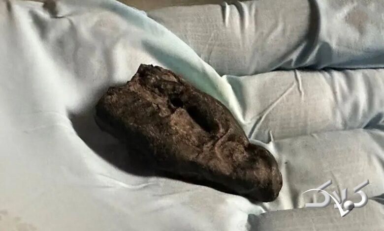 آدامس باستانی