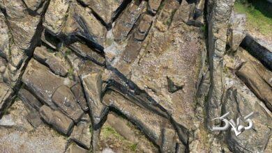 سرهای سنگی عظیم