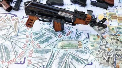 دستگیری 230 سارق