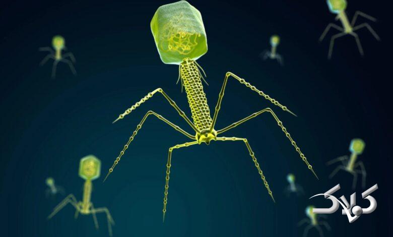 ویروس معدنچی