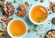 برنامه تلویزیونی