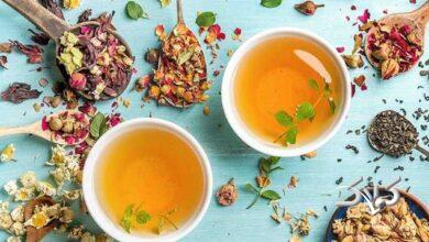 برنامه تلویزیونی