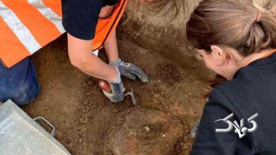 نیزههای طلاکوب