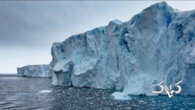 روبات زیرآبی