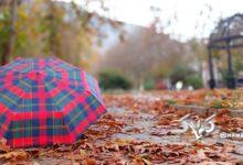 طاق بستان باراني