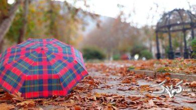 طاق بستان باراني