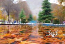 طاق بستان باراني