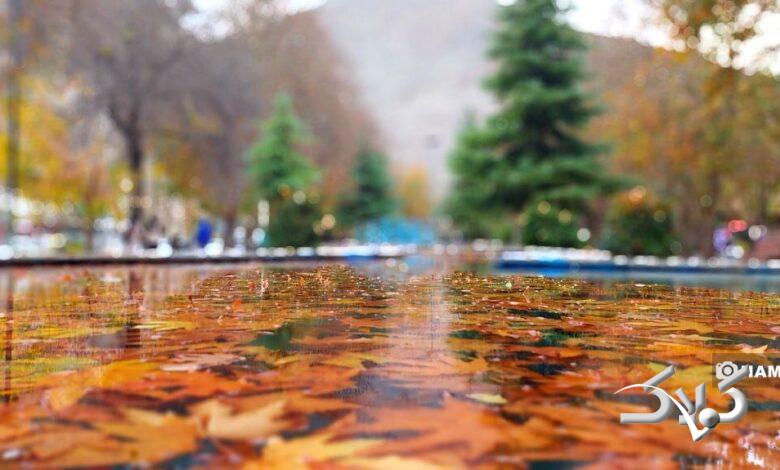 طاق بستان باراني