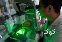 مغزهای کوچک آزمایشگاهی