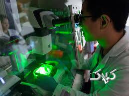 مغزهای کوچک آزمایشگاهی