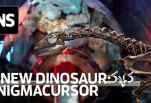 شاهکار دیرین‌زیستی