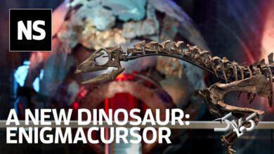 شاهکار دیرین‌زیستی