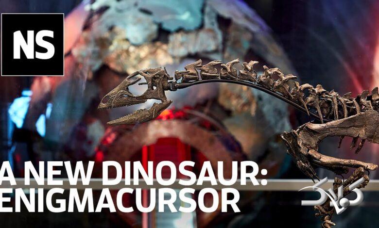 شاهکار دیرین‌زیستی