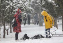 برف سامانه بارشی زمستان