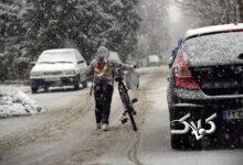 هواشناسی- بارش برف