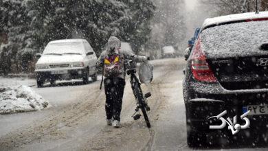 هواشناسی- بارش برف