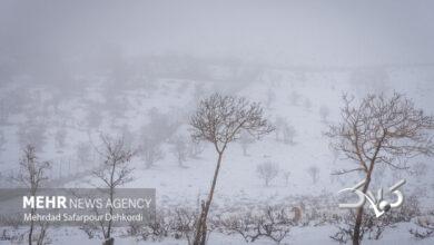 بوران شدید و سهمگین برف در ارتفاعات شهرستان تکاب