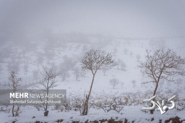 بوران شدید و سهمگین برف در ارتفاعات شهرستان تکاب