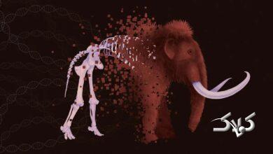 حیوانات منقرض شده