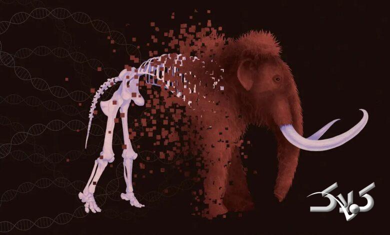 حیوانات منقرض شده