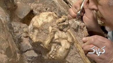 انسانتباران