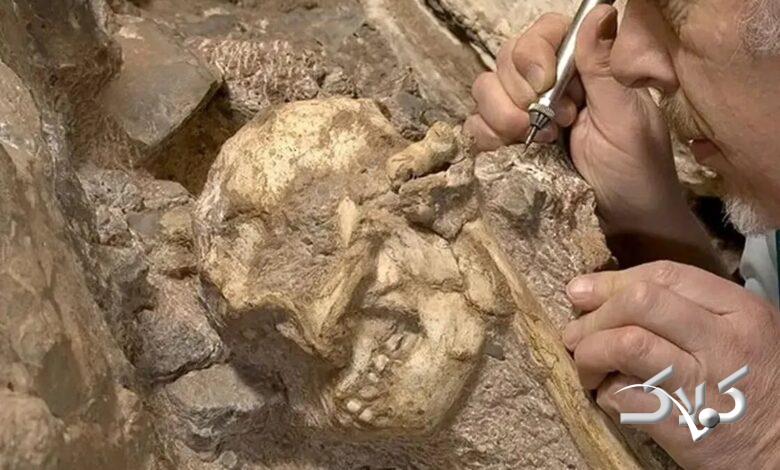 انسانتباران