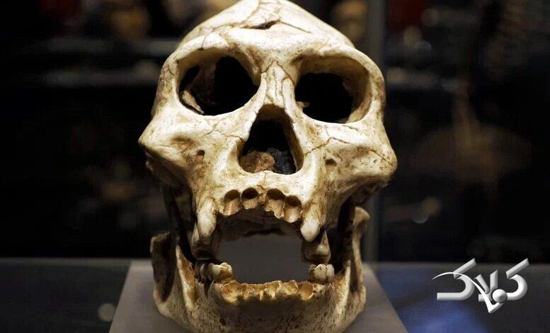 روایت تکامل انسان