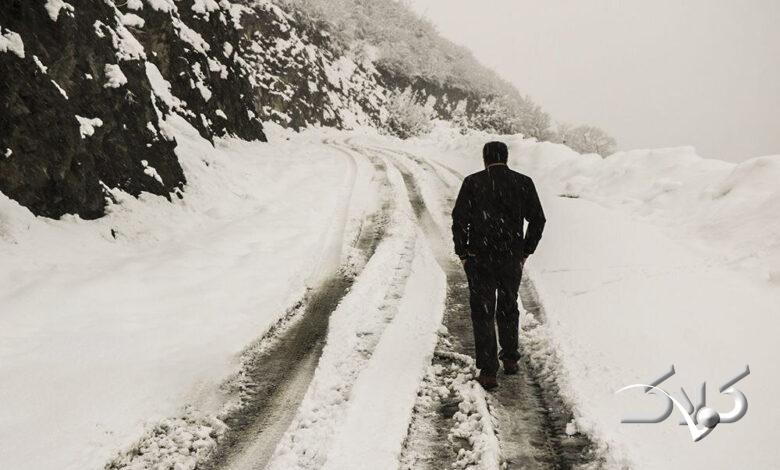 بارش برف / گیلان / زمستان / سرما