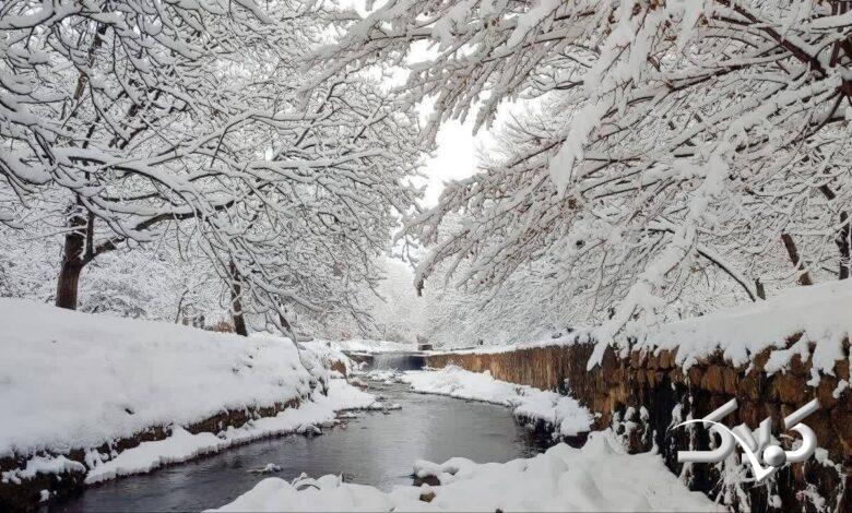برف / زمستان / سرما