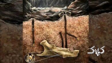 زنبورهای باستانی