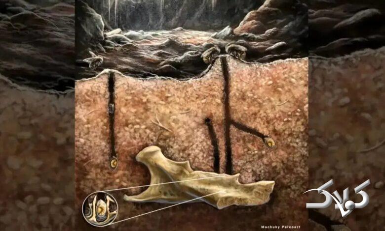 زنبورهای باستانی